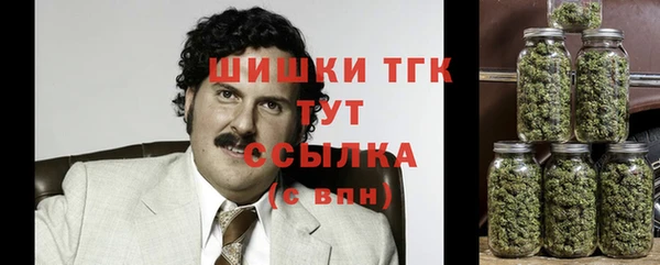 мяу мяу мука Аркадак