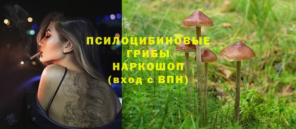 хмурый Алексеевка