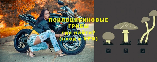 тгк Алзамай