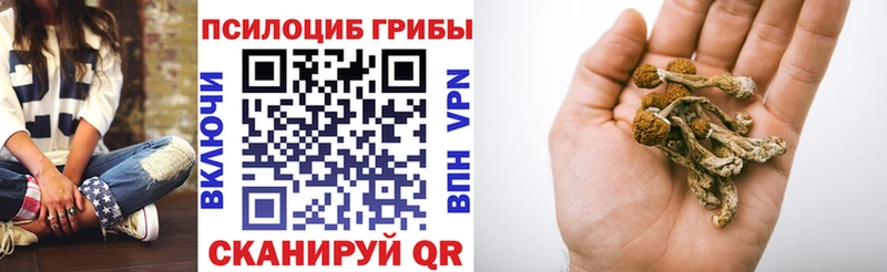 Галлюциногенные грибы мухоморы  купить   Мытищи 