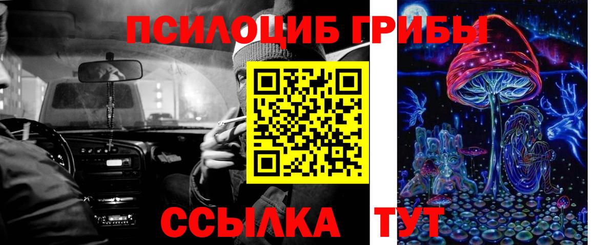 Мытищи  Галлюциногенные грибы Cubensis  Вход с VPN  Галлюциногенные грибы Magic Shrooms 